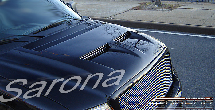 2004-2008 Ford F-150 Hood