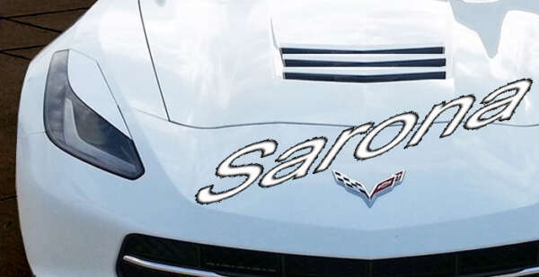 2014-2016 Chevrolet Corvette Eyelids